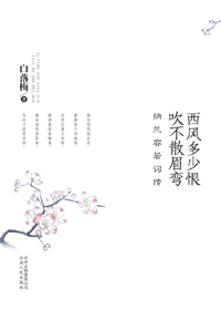 西风多少恨封面