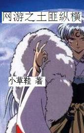 网游之土匪纵横封面