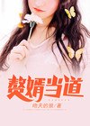 上门赘婿岳枫