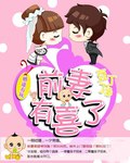婚途有坑:前妻有喜了